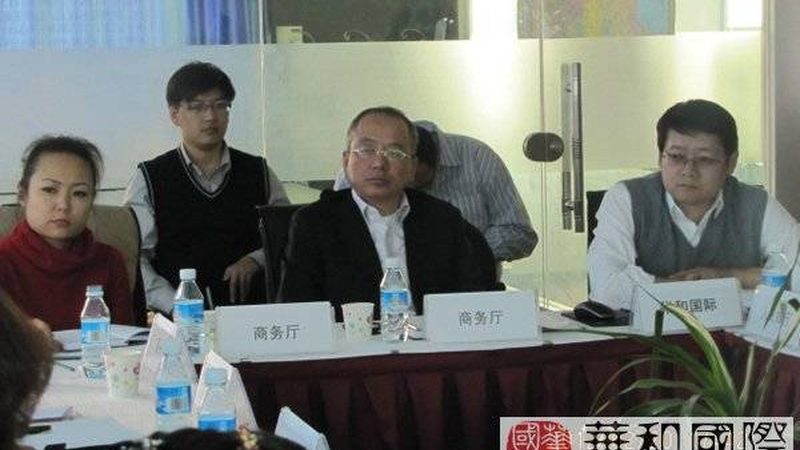 医疗行业战略咨询报告模板：构建企业未来发展的蓝图
